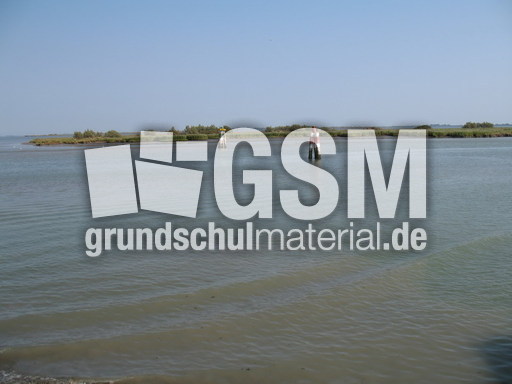 Italien Venetien Marano Lagunare 006.JPG